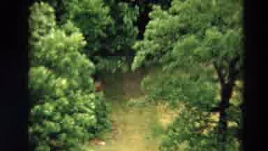 Minnesota US (1967): Nature At Its Finest