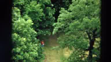 Minnesota US (1967): Looking Down At A Person In A Forest From The Top Of The