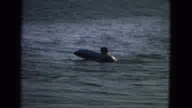 New Mexico USA (1967): A Surfer Riding Gentle Waves On A Very Thick Board Followed