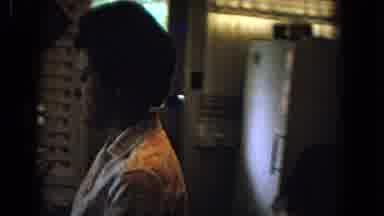 New Mexico USA (1967): 1970s Woman In The Kitchen Of House With Floral Dress Cuts
