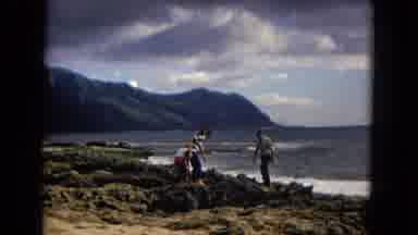 New Mexico USA (1967): People Looking For Something Near The Ocean On A Beautiful