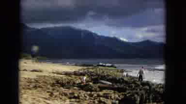 New Mexico USA (1967): Children Out On The Beach Looking At The Rock Pools