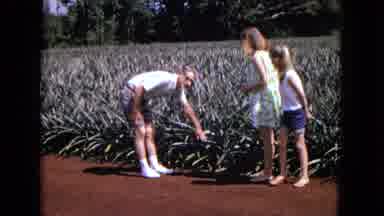 New Mexico USA (1967): Showing The Children How To Work The Fields