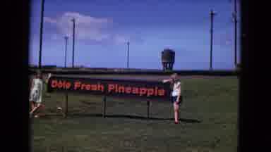 New Mexico USA (1967): Two Adolescent Girls With A "Dole Fresh Pineapple" Sign