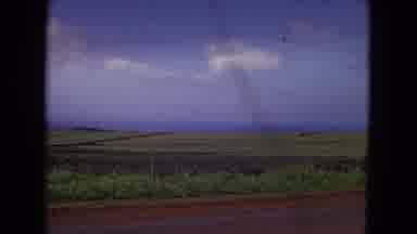 New Mexico USA (1967): Video Of A Group Of Neat And Tidy Fields Out In The