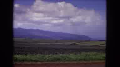 New Mexico USA (1967): Older Quality Film Panning A Landscape Showing A Field And