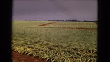 New Mexico USA (1967): It Is Nature Place Look Like A Very Beautiful