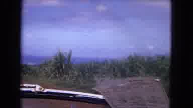 New Mexico USA (1967): Close Up Of Land With Maguey Plants And A Car Going Down