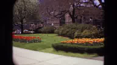 Iran (1972): Beautiful And Colorful Garden In The Middle Of A City