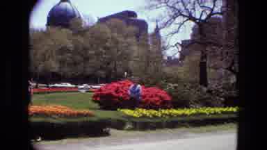 Iran (1972): We Are Taking A Ice View Of The City And Seeing The Wonderful Flowers