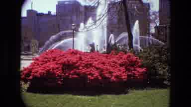 Iran (1972): Fountain With Flowers