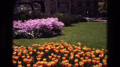 Iran (1972): A Beautiful Garden With Fountain And Some Visitors Are Enjoying It