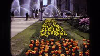Iran (1972): People Enjoying And Walking Past Beautiful Tranquil Water Fountains