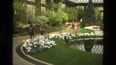 Iran (1972): Floral Garden Peaceful Beautiful Experience Nature And Gorgeous