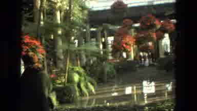 Iran (1972): Walking Around An Outdoor Flower Garden Inside A Mall