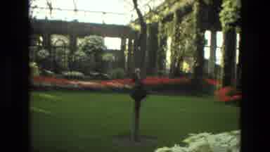 Iran (1972): Camera Panning Over Beautiful Indoor Flower Garden Man Walking In