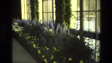 Iran (1972): Visiting The Botanical Gardens With My Grandma And Dad In The 1970s