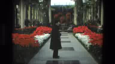 Iran (1972): A Women Walking In The Park Between The Flower And Plants