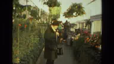 Iran (1972): People Looking At Beautiful Flowers In A Botanical Garden