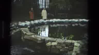 Iran (1972): People Walk In A Park