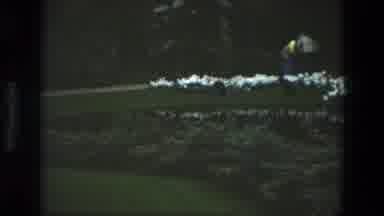Iran (1972): Panning Shots Of Internal Garden Including Trees Grass And Flowers