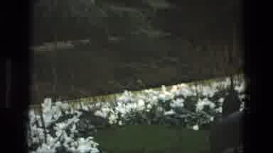 Iran (1972): Beautiful Flower Garden On A Park At Night With Person Walking By