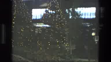 Iran (1972): A Small Lake Garden With Christmas Trees