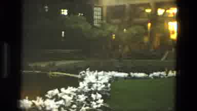 Iran (1972): Some White Flowers And A Large Roof