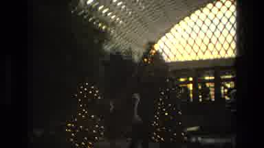 Iran (1972): People Walking And Christmas Trees Near Them