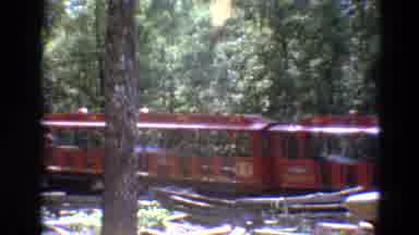 Branson Missouri USA (1968): Red Trolley Moves Through Thick Forest On A Sunny Day