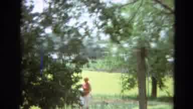 Branson Missouri USA (1968): A Person Walks Through A Field Carrying Plants Or