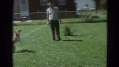 Branson Missouri USA (1968): Man Watering A Lawn While Yellow Dog Tries To Catch