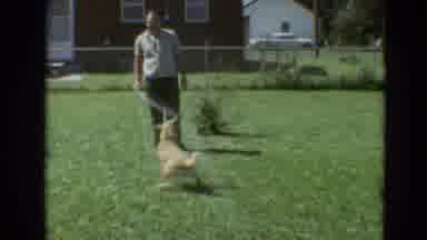 Branson Missouri USA (1968): Man Spraying A Funny Pet Dog With A Garden Hose As