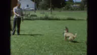 Branson Missouri USA (1968): A Man Spraying Water And Playing With His Dog In An