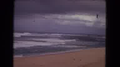 Honolulu Hawaii (1968): A View Of People Watching The Big Waves In Ocean