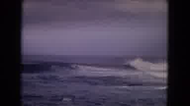 Honolulu Hawaii (1968): A View Of Ocean And Place Full Of Palm Trees