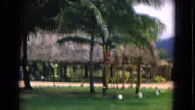 Honolulu Hawaii (1968): An Elegant Place With Some Huts And Lot Of Greenery