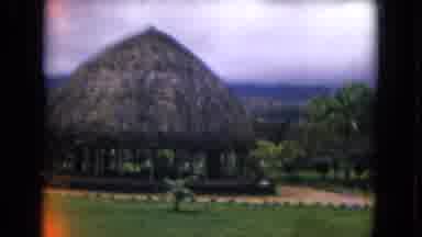 Honolulu Hawaii (1968): A View Of Cabins Palm Trees And Unique Plants