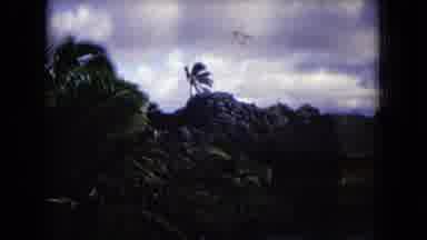 Honolulu Hawaii (1968): Camera Captures Lovely Views Of The Tropical Landscape And