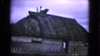 Honolulu Hawaii (1968): Camera Pans Over A Hut With A Thatched Roof Settles Upon