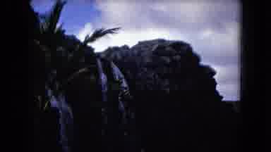 Honolulu Hawaii (1968): Palm Trees And A Waterfall In A Tropical Environment