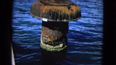 Honolulu Hawaii (1968): View Of Brown Wooden Post In Quiet Water On A Sunny Day