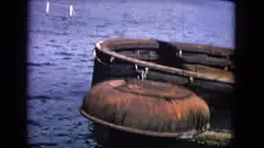 Honolulu Hawaii (1968): Scenes From The Uss Arizona Memorial In Pearl Harbor Oahu