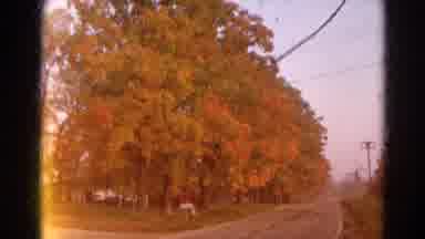 Wauconda Illinois USA (1968): Country Road In Autumn Showing Tall Trees With
