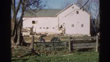 Wauconda Illinois USA (1968): We Are In The Yard Working On The House To Make It