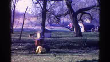Wauconda Illinois USA (1968): Dog Beside His House In A Field Full Of Trees
