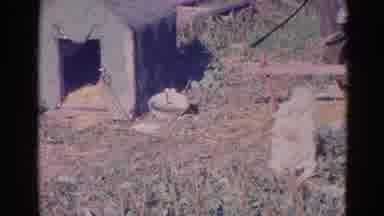 Wauconda Illinois USA (1968): A Montage Of People Standing By A Car And A Small