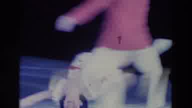 Chicago Illinois USA (1969): Ice Dancers Perform In A Pair With An Ice Dancing Cat