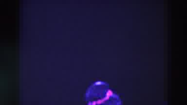 Chicago Illinois USA (1969): Women In Fancy Gowns Move Around The Stage As They