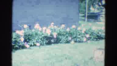Diller Nebraska (1969): Woman Walks Across The Yard To Tend To Her Garden Of